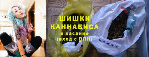 apvp Богородск