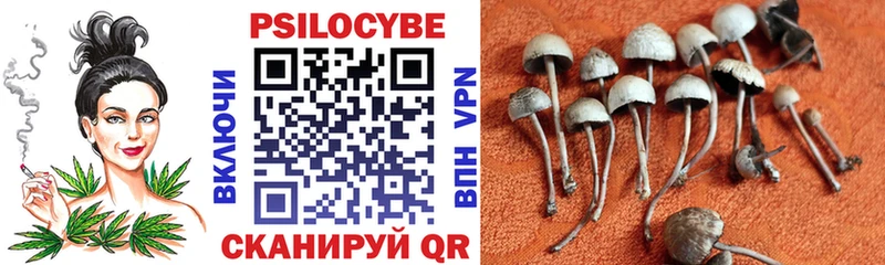 Купить где  Касли  Галлюциногенные грибы мухоморы 